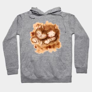 Hug me cute cat baby Hoodie